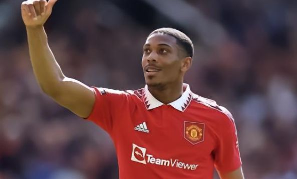 增强身体素 增强身体素